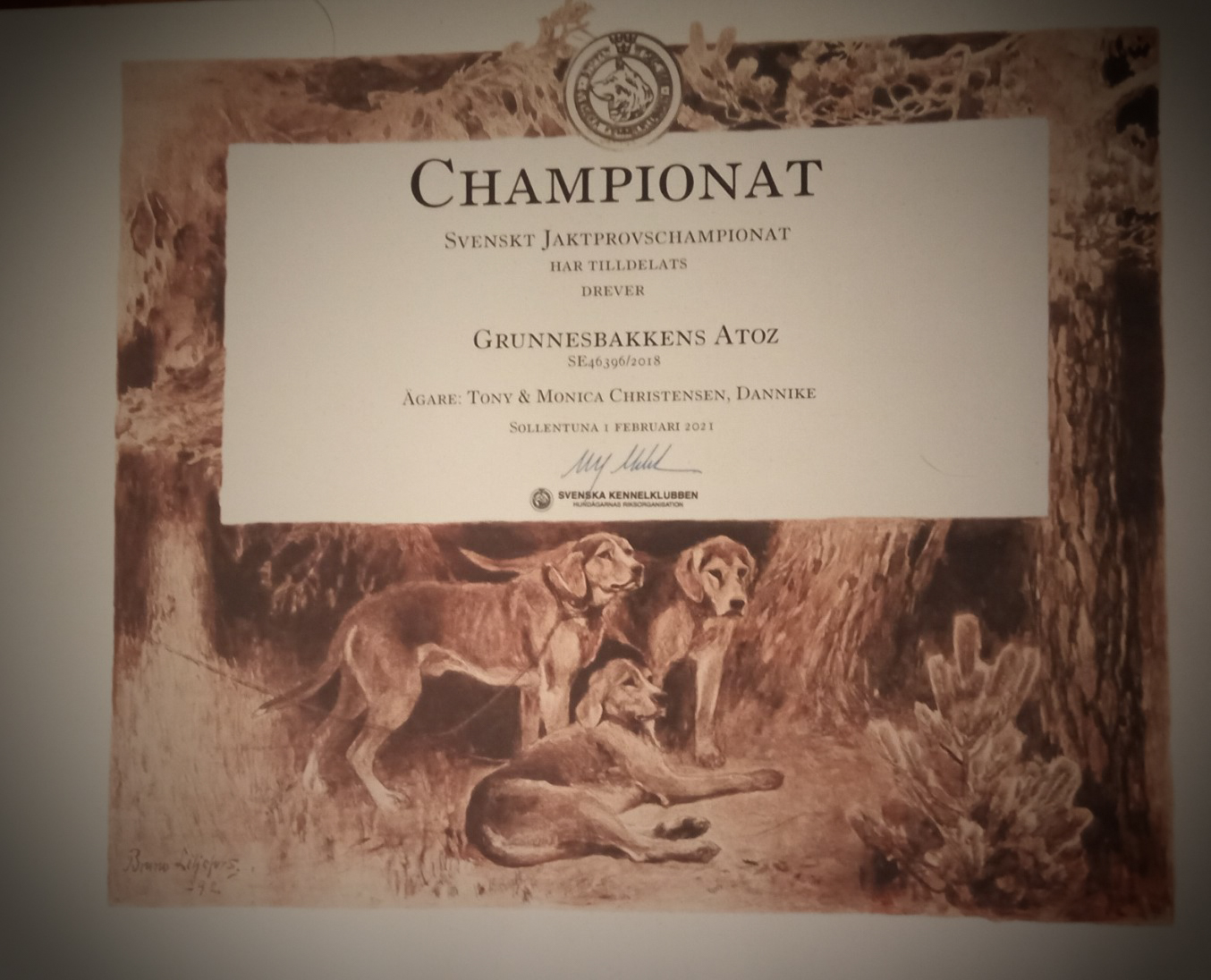 Jaktprovschampionat